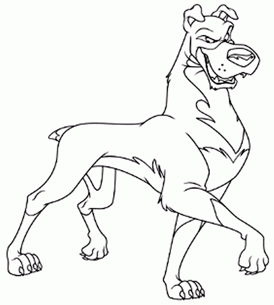 coloriage La belle et le clochard le mechant chien